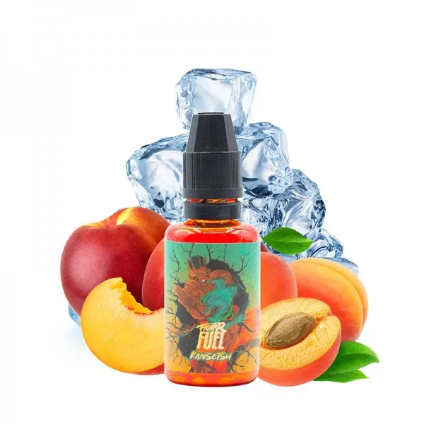 Concentré Kansetsu 30ml - Fighter Fuel by Maison Fuel - image 2