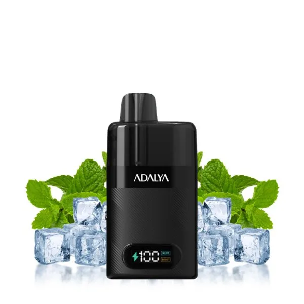Starter Kit Levo 30K 1000mAh 10ml/2% - Adalya - image 5