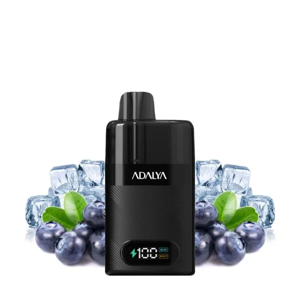 Starter Kit Levo 30K 1000mAh 10ml/2% - Adalya - image 9