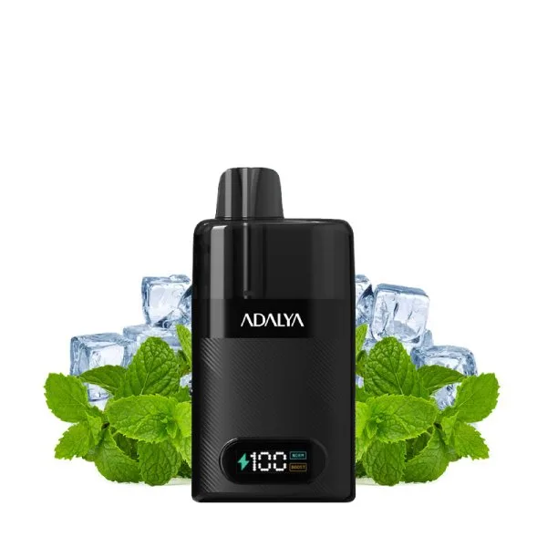 Starter Kit Levo 30K 1000mAh 10ml/2% - Adalya - image 23