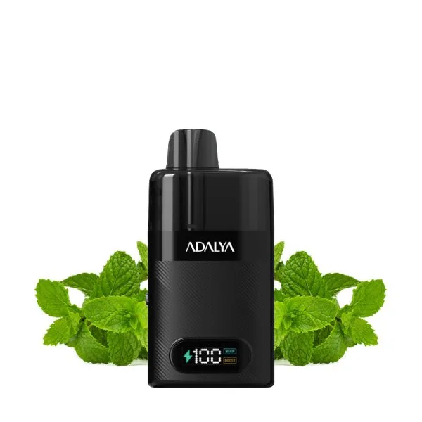 Starter Kit Levo 30K 1000mAh 10ml/2% - Adalya - image 27