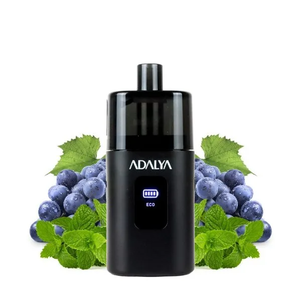 Starter Kit Myvo 30K 1300mAh 10ml / 8mg - Adalya - image 12