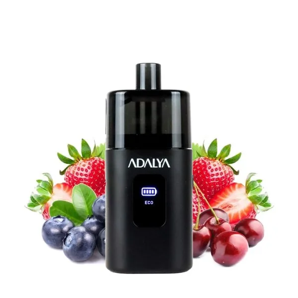 Starter Kit Myvo 30K 1300mAh 10ml / 8mg - Adalya - image 28