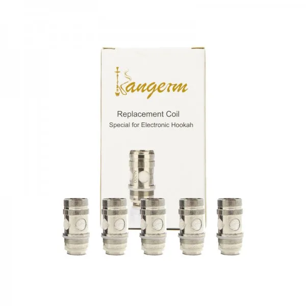 Résistances E-Hookah V2 Ni200 0.2Ω (5pcs) - Kangerm - image 2