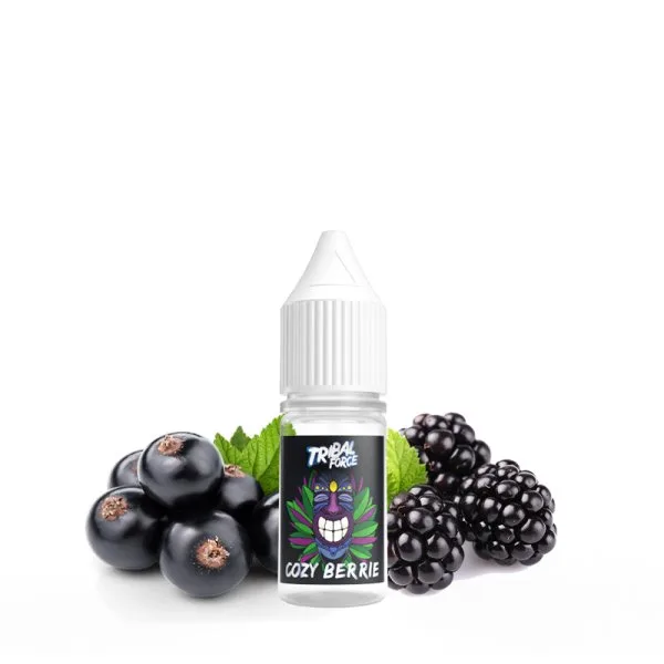 Concentré Cozy Berrie 10ml - Tribal Force - image 2