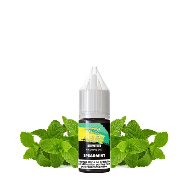 Spearmint Nic Salt 20mg 10ml - Al Fakher - image 2