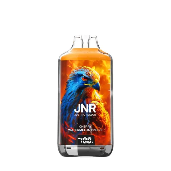 Falcon-X 28k 950mAh 18ml / 2% - JNR - image 28